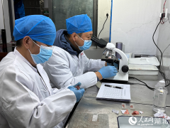 一目了然的数据让注水肉正在这个环节无